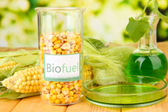 Low Risby biofuel availability